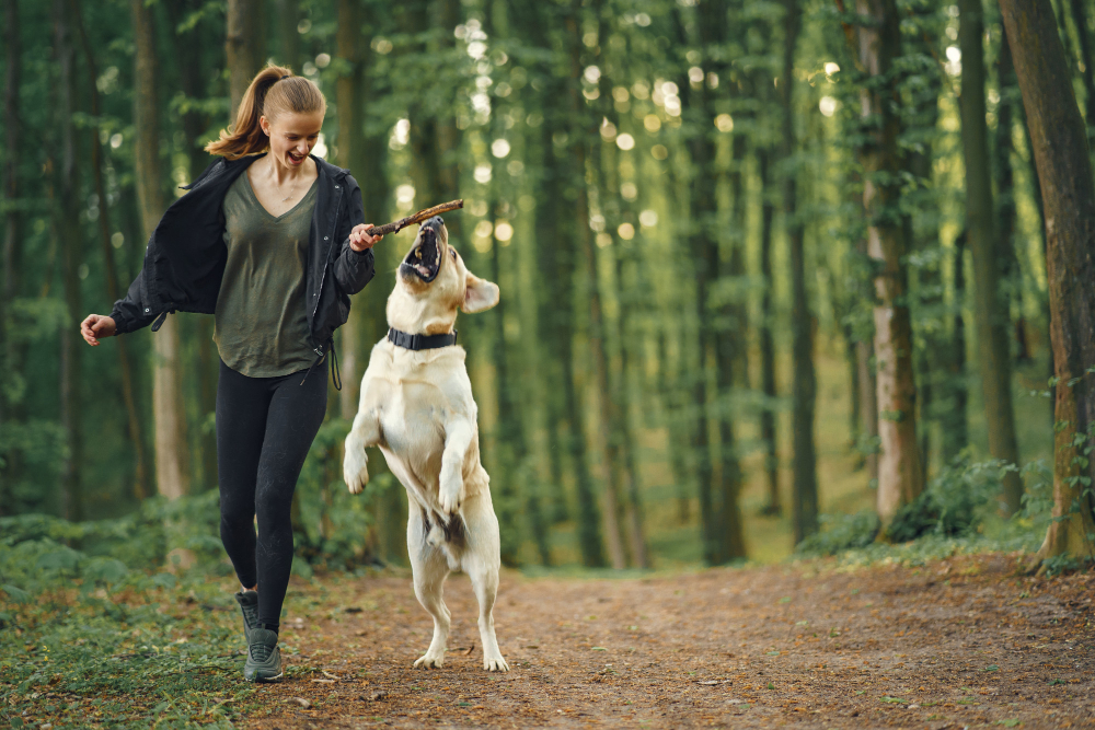 How to Relocate with Pets: Ensuring a Safe and Comfortable Move