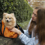 medium shot girl carrying puppy bag