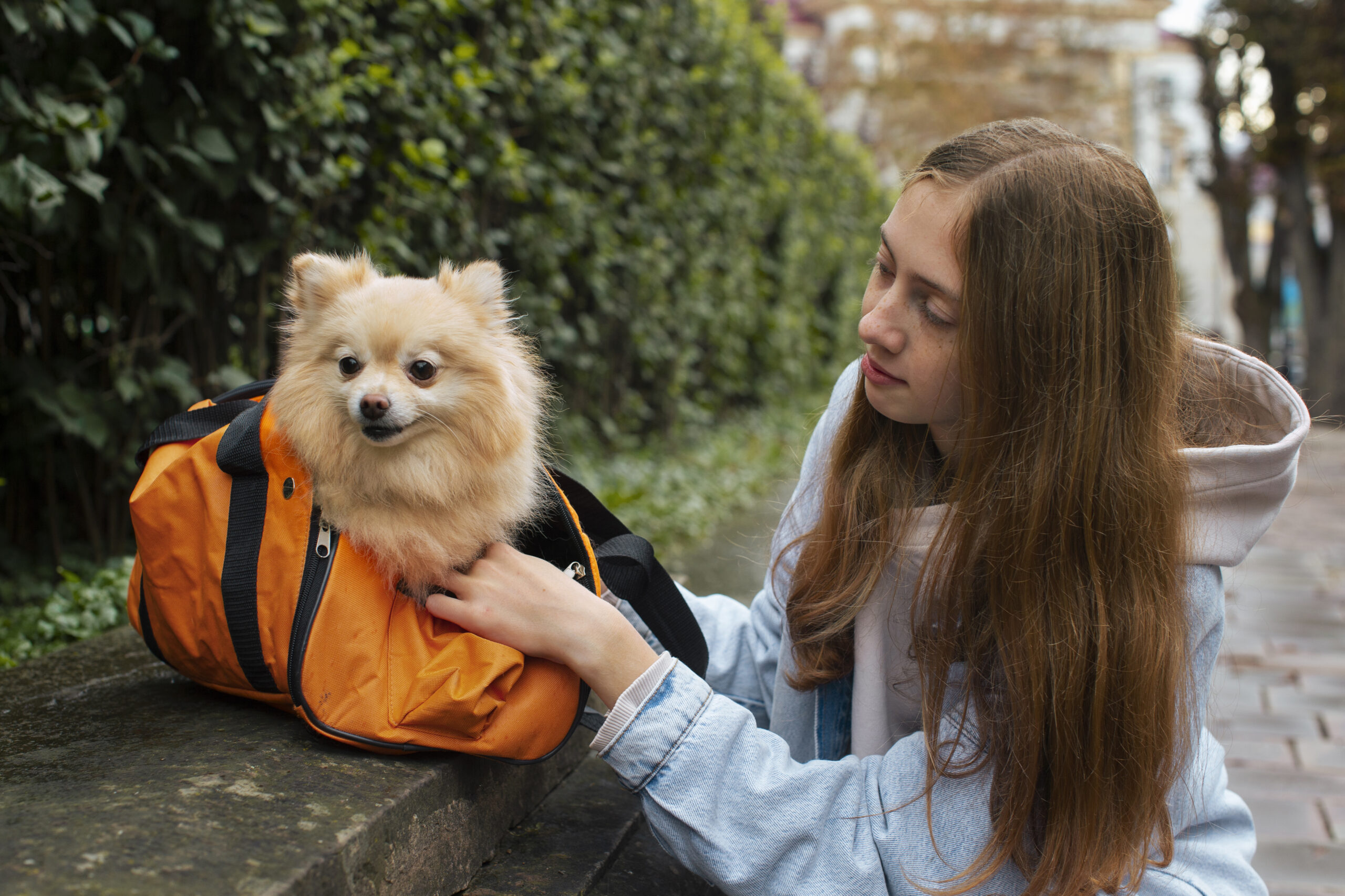 medium shot girl carrying puppy bag scaled
