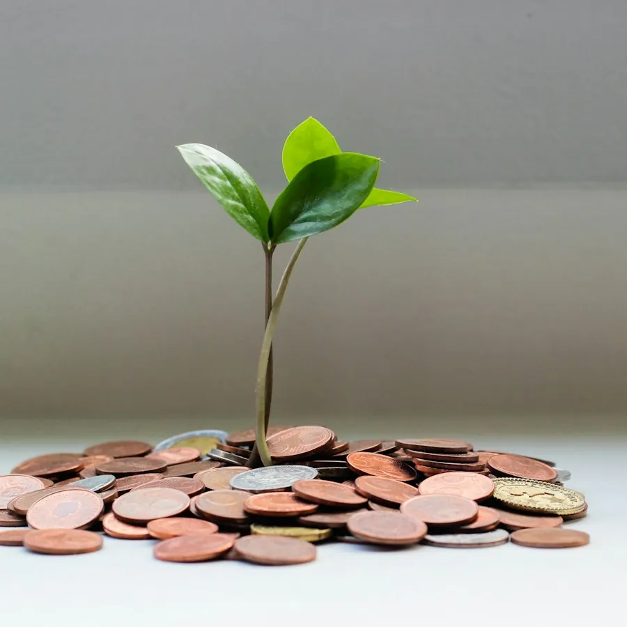 Compensation and benefits growth – plant growing from a pile of coins