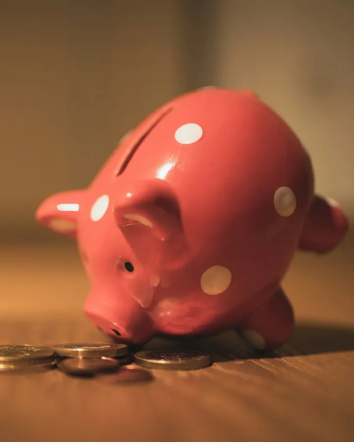 Expatriate compensation and benefits savings represented by a piggy bank